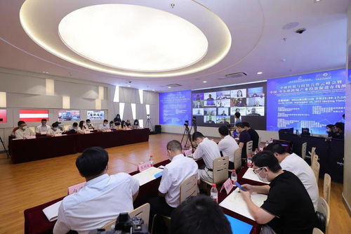 攜手云端 共贏未來 中歐經(jīng)貿(mào)與投資合作云峰會暨中國-中東歐跨境產(chǎn)業(yè)投資促進(jìn)在線推介會圓滿落幕